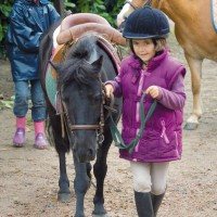 Ponypark